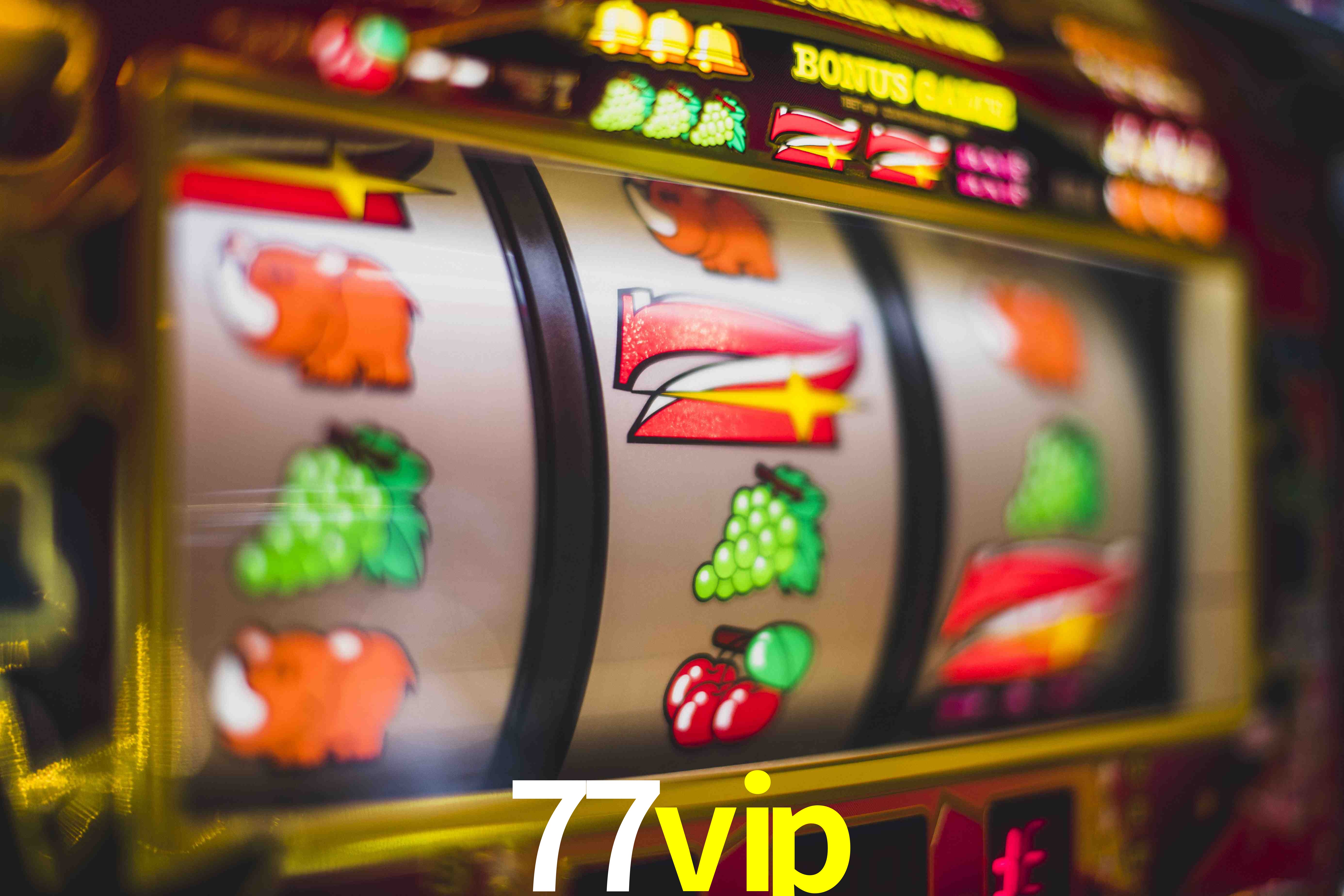 Sports Statistics 77vip